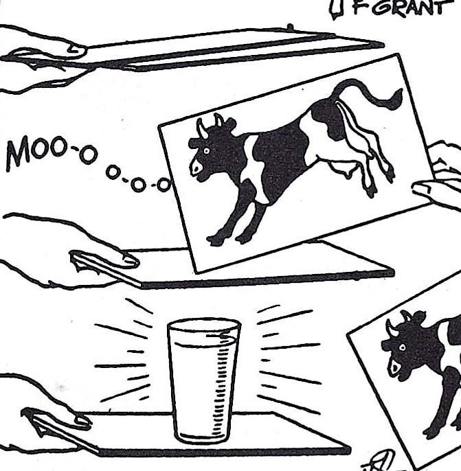 Cow Trick Instructions