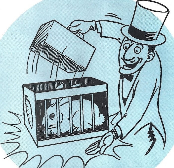Fool Proof Rabbit Instructions