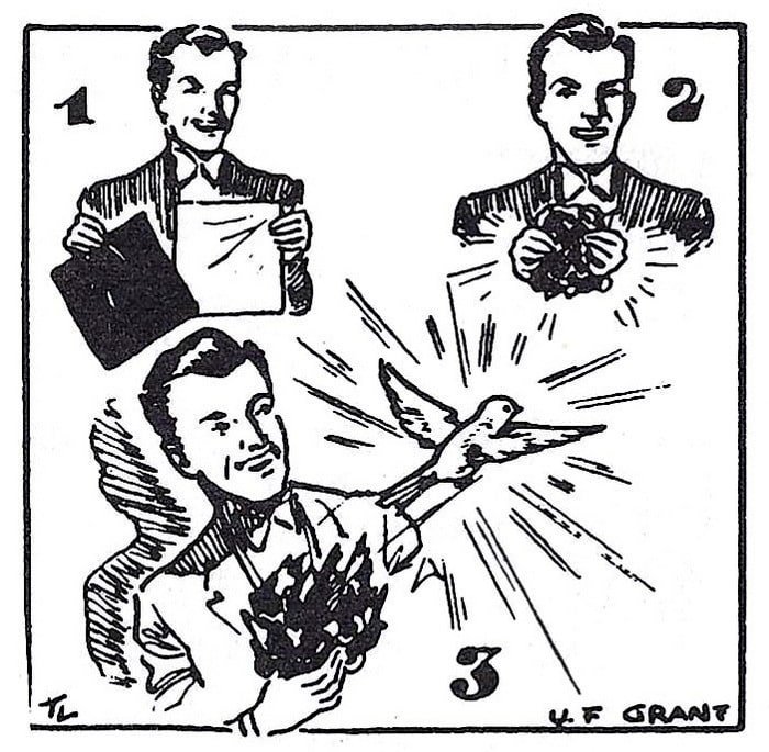 Tissue to Canary Instructions