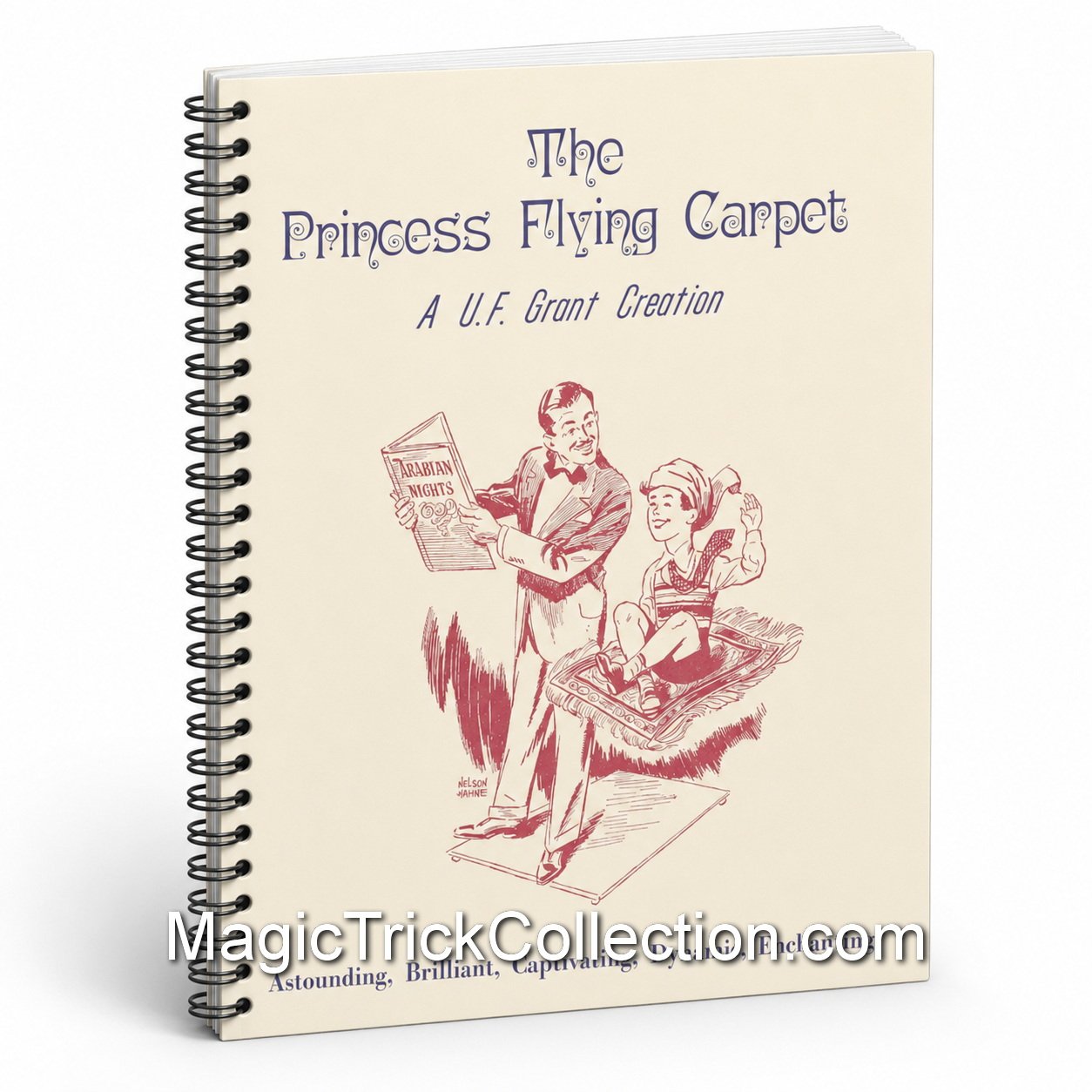 Princess Flying Carpet Manuscript